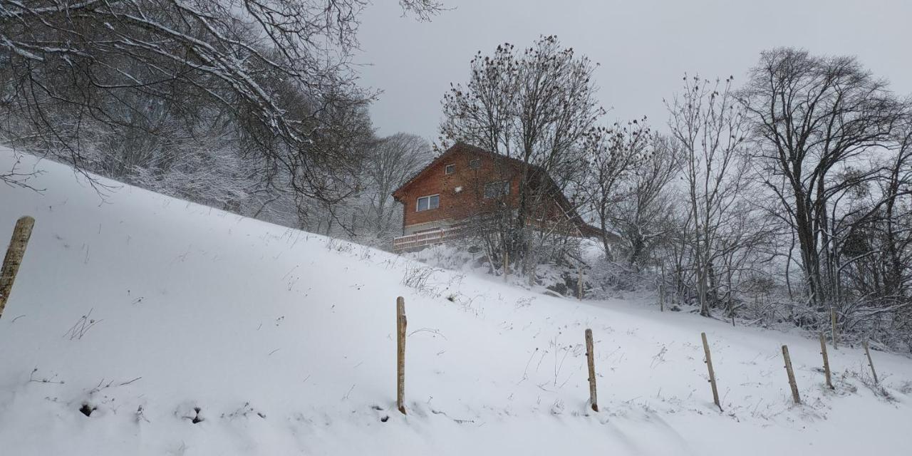 Villa L Ame Et Son Du Coeur Dorenaz Exterior foto